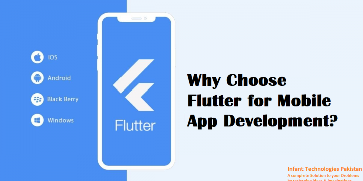 <strong>Reasons to Choose Flutter for mobile development</strong>